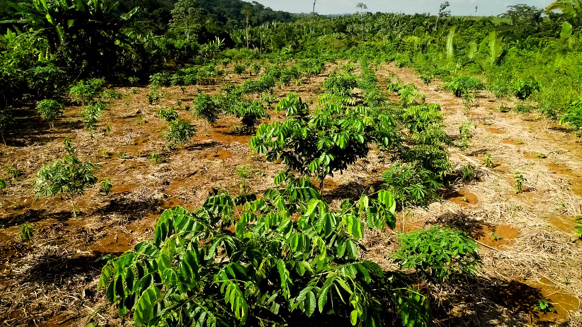 Produktbild 7